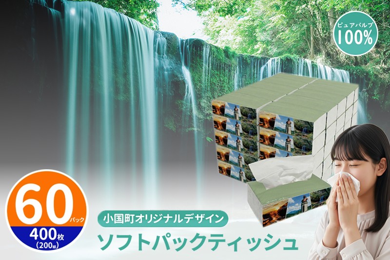 
            【令和8年4月～出荷】ティッシュペーパー ピュアパルプ ソフトパックティッシュ 60パック×400枚 200組 柔らか コンパクト 生活応援 日用品 必需品  まとめ買い 常備品 備蓄 防災グッズ 熊本県 小国町 観光スポット紹介 オリジナル 常温配送
          
