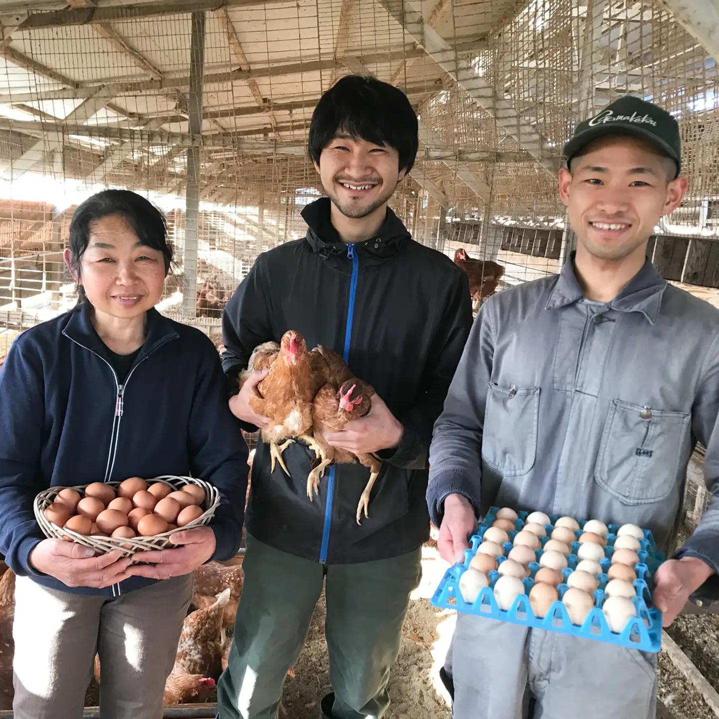 【たまご 定期便3回】平飼いたまご 30個入