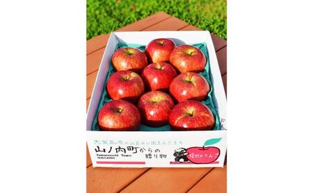 りんご シナノドルチェ 秀品 3kg 7～11玉 りんご