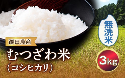 令和5年産米 むつざわ米（コシヒカリ）無洗米 3kg 澤田農産 F21G-179