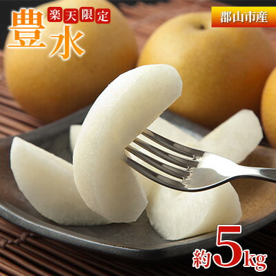 【ふるさと納税】【楽天限定】豊水 約5kg 梨 なし フルーツ 果物 デザート 旬 ナシ 甘い 果汁 ジューシー 産地直送 常温 若林果樹園 福島県 郡山市　お届け：2025年9月1日～9月10日まで