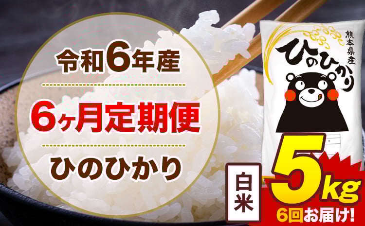 
            【6ヶ月定期便】令和6年産 白米 5kg 米 ひのひかり《お申込み月の翌月から出荷開始》熊本県 菊池市 国産 熊本県産 白米 精米 無洗米 送料無料 ヒノヒカリ こめ お米 
          