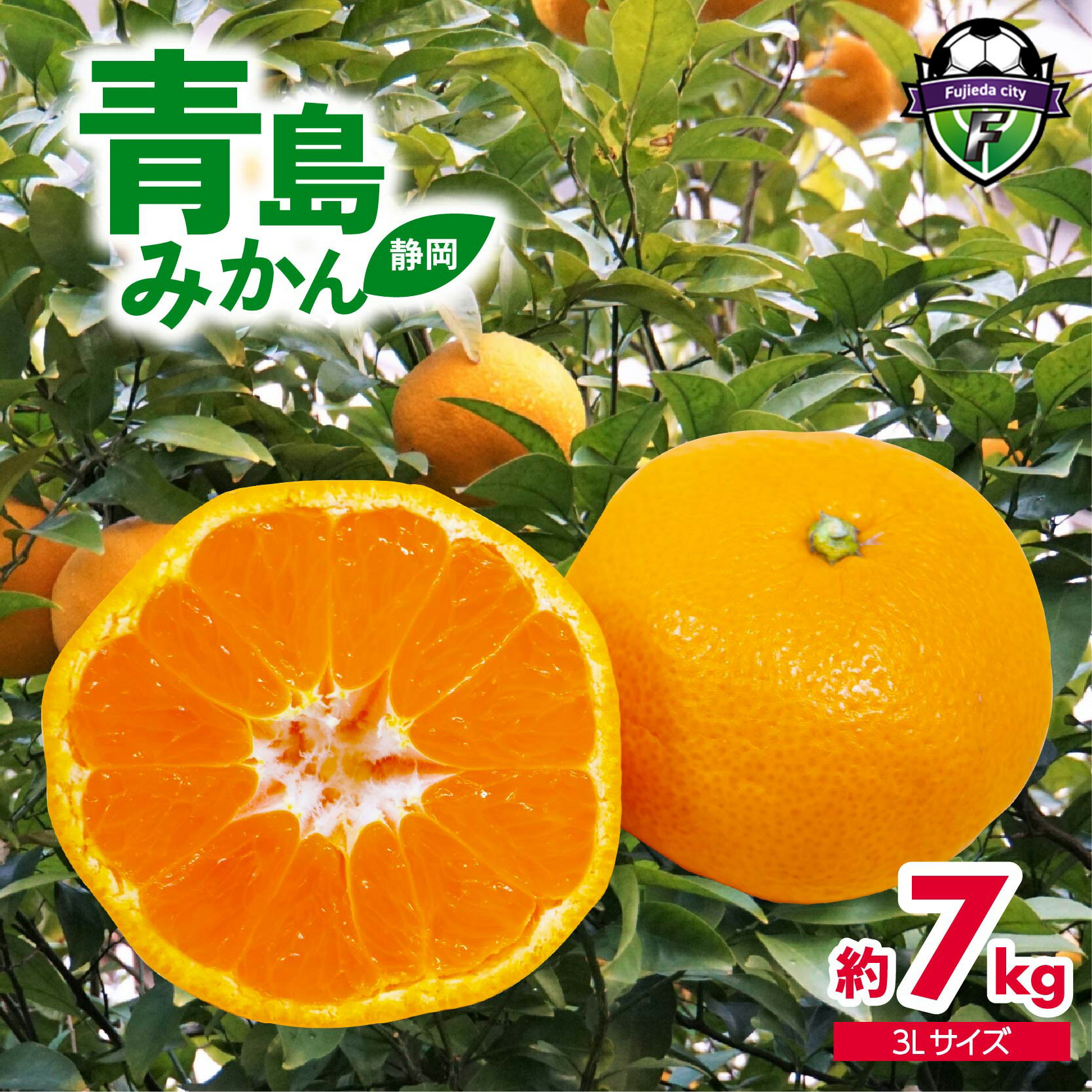 【ふるさと納税】 先行予約 2026年12月下旬より順次出荷 静岡県産 特大 青島 みかん 3L 約 7kg 果物 国産 フルーツ 柑橘 蜜柑 ミカン ビタミン お土産 産地直送 甘い 旬 冬 ジュース 家族 美容 栄養 藤枝市 静岡県