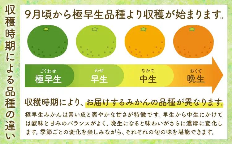 【3か月定期便】 先行予約 赤秀 みかん 旬 柑橘 蜜柑 鶴田農園 約5㎏×3回 《11月上旬-1月下旬頃出荷》極早生 早生 中生 晩生 フルーツ 果物 秋 旬 熊本県 荒尾市産 贈答 ギフト オレン