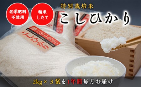“土づくりの恵み” つやっつやの特別栽培米 12ヶ月お届けコース【コシヒカリ】
