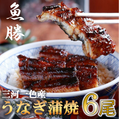
                  三河一色産うなぎ蒲焼　6尾〈計約960g〉【1532721】
                