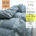 【ふるさと納税】春夏秋3シーズン使える肌掛ヨーロッパ産ダウンパワー400(上質ダウン93%0.8kg)シングル【1128335】