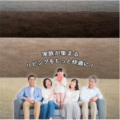 ふるさと納税 和泉市 【江戸間3畳】ベーシックカラーリビングカーペット ブラウン(ストーリー3畳BR) |  | 02