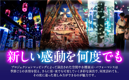 マクセル アクアパーク品川　年間パスポート　幼児（4才以上）