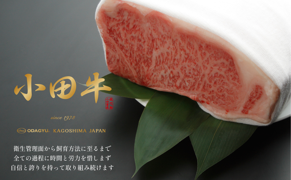 【プレミアムブランド】鹿児島県産黒毛和牛「小田牛」 混ぜご飯の素 4個（160g×4） 牛肉 お肉 惣菜 お惣菜 常温保存 簡単調理 湯煎 時短 おかず お弁当 おにぎり レトルト 和食 ご飯 2合用