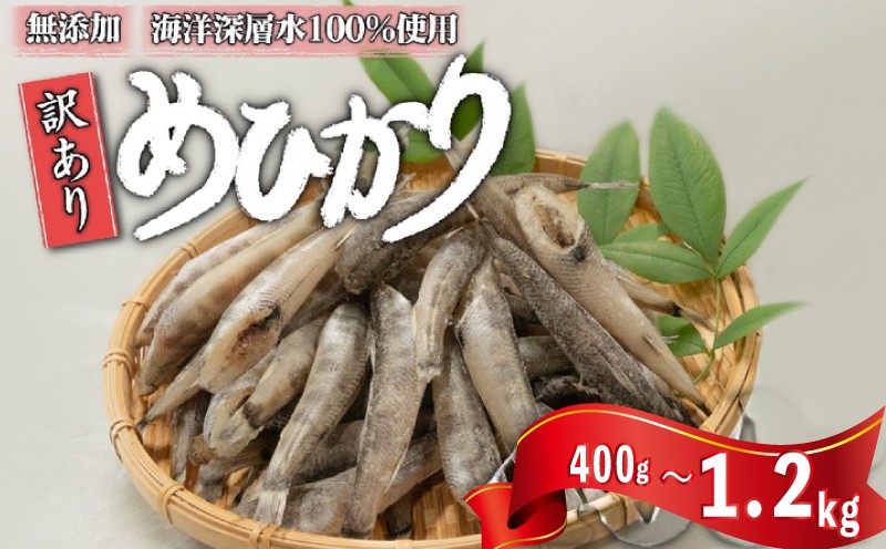 
                  めひかり 干物 400g ～ 1.2kg 産地直送 白身 骨 丸ごと 魚 おかず おつまみ カルシウム ミネラル アオメエソ 天然塩 海洋深層水 丸宮 宮本商店 高知県 須崎市 MMY034ALL
                