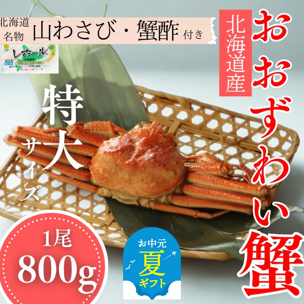 20-291 【お中元】【北海道産】特大サイズ オオズワイガニ姿　800g以上1尾 ｜ 蟹酢・山わさび付　かに　おおずわいがに
