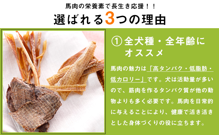 ウチのこのおやつ（馬肉のドッグフード） 長洲町L（桜屋） 《90日以内に出荷予定(土日祝除く)》 ---sn_501dog_90d_22_10000_175g---st-p
