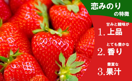 高藤農園 ゆうべに・恋みのり 各1パック 食べ比べセット