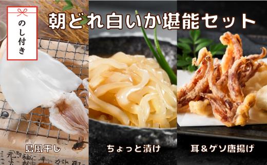 
【のし付き】白いか堪能セット 島の特産品 高級白いかを贅沢に味わう3種
