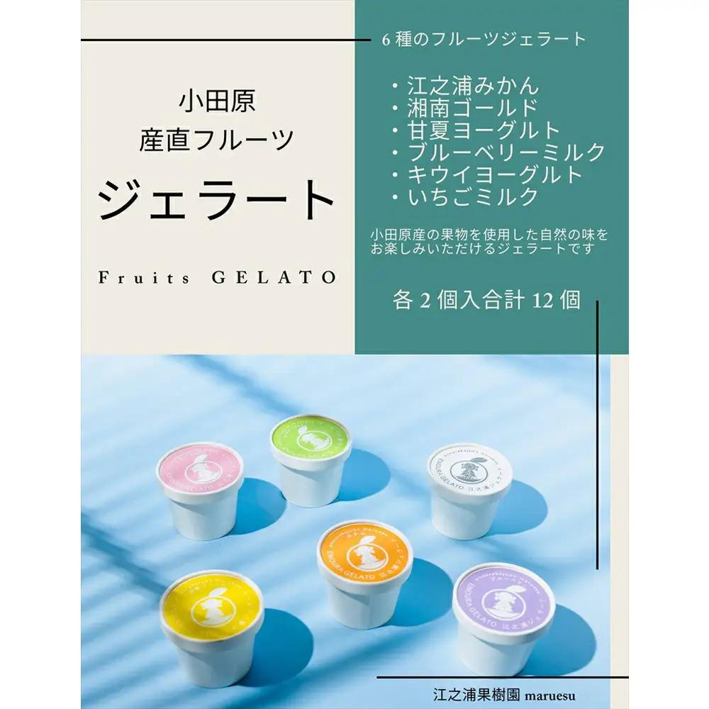 【定期便 9回】 小田原産江之浦ジェラート６種（みかん、湘南ゴールド、ブルーベリーミルク、いちごミルク、キウイヨーグルト、甘夏ヨーグルト）120mlカップ各２個合計１２個【ジェラート ジェラート 神奈川県 小田原市 】