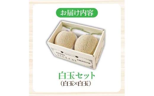 高級土佐アールスメロン2玉入り メロン めろん 白玉セット 白玉×白玉 3kg以上 舐瓜 果物 くだもの フルーツ デザート スイーツ おやつ 高級 常温 配送【森岡　敬】 [BQBA003]
