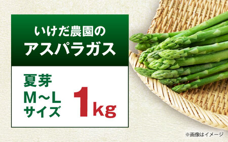 【先行予約】 【数量限定】山鹿市産 いけだ農園のアスパラガス 夏芽(MからLサイズ)　1kg【いけだ農園】[ZFP001]