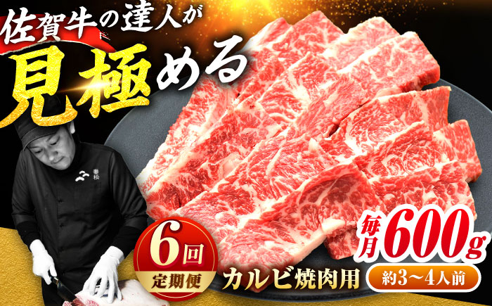 
            【全6回定期便】高評価!  佐賀牛 カルビ 600g 肉 牛 牛肉 吉野ヶ里町/ミートフーズ華松 [FAY103]
          