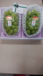 【8月20日から】【さぬき讃フルーツ】シャインマスカット 大房2房(化粧箱入り)
