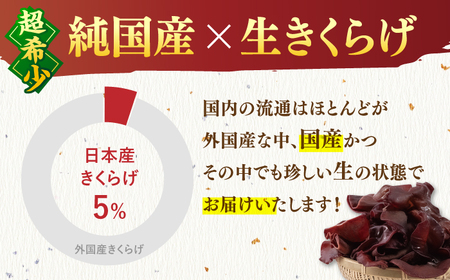 福岡県産 生きくらげ 1kg 木耳 キクラゲ 国産 桂川町/オドラ株式会社[ADBA001]
