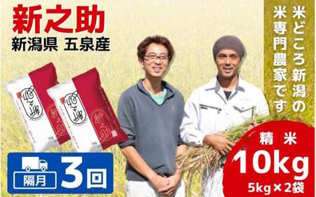 【令和7年産米】〈隔月3回定期便〉「わくわく農場」の五泉産 精米 新之助 10kg(5kg×2袋) |五泉市 新之助