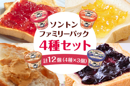 ソントン ファミリーカップ （濃厚ピーナッツクリーム・つぶつぶイチゴ・ごろごろブルーベリー・果皮ざくざくマーマレード） 130g×各3個づつ 計12個入 G13-005