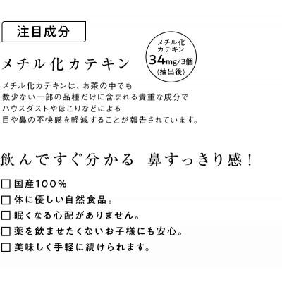 ふるさと納税 掛川市 べにふうき緑茶ティーバッグ 2袋　日本茶きみくら【5897】 |  | 03