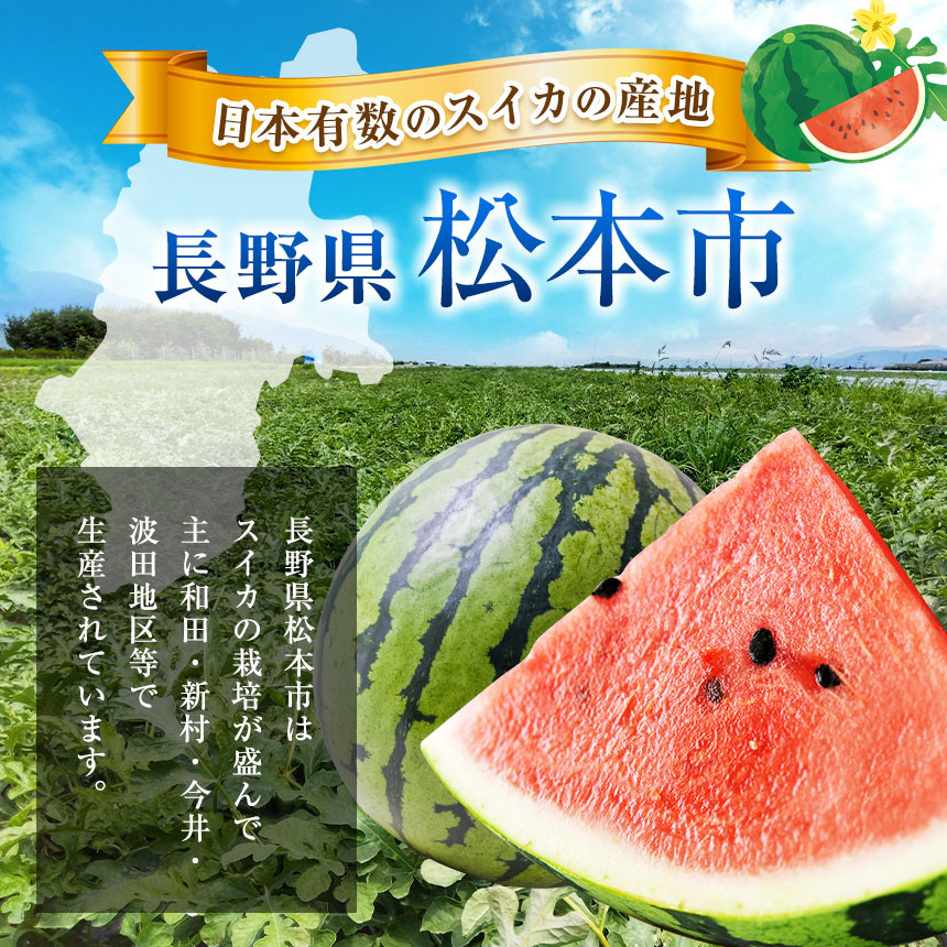 昼夜の温度差と豊富な日照量、生産者の愛情がおいしいすいかをはぐくみます。