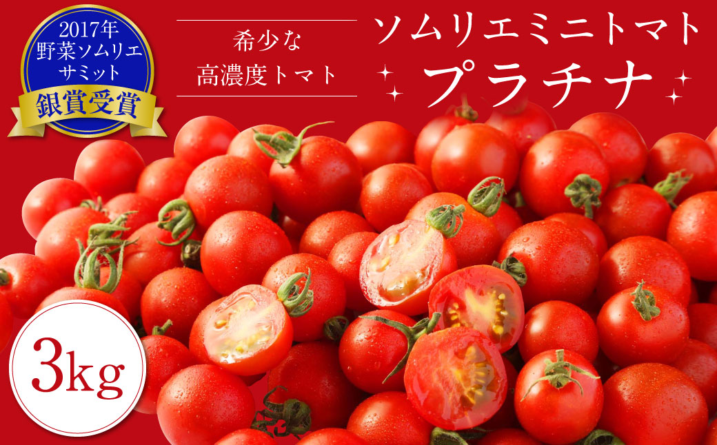 ソムリエ ミニトマト プラチナ 3kg とまと トマト 野菜 やさい 熊本県産 【2024年12月下旬発送開始】