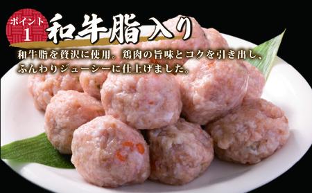 ふんわりジューシー鶏つくね（和牛脂入り）960g（192g×5パック）【1943】