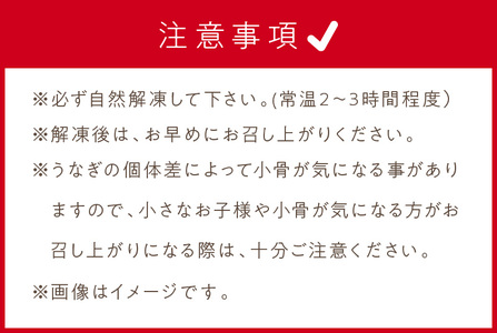 《14営業日以内に発送》オホーツクの綺麗な地下水で育った 北海道 うなぎ 2尾 ( 蒲焼 蒲焼き 丑の日 土用丑の日 )【160-0002】