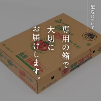 【期間限定】日南トマト　約4kg（20～24玉／箱）