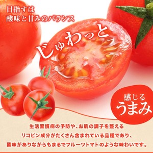 トマト魂！峯本の贅沢フルティカトマト（中玉サイズ）4kg 4キロ 先行予約 ミディトマト フルーツトマト トマト ふるさと納税 フルティカ とまと サラダ 野菜 美味しい 甘い【R01033】