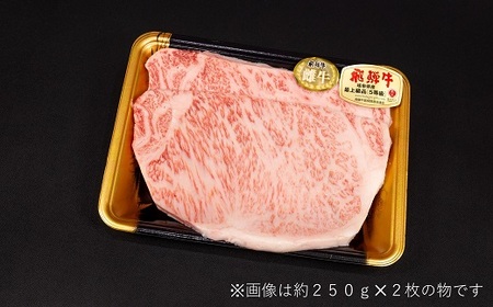 【最飛び雌牛】飛騨牛A5等級サーロインステーキ　250g×2枚【配送不可地域：離島】【1520149】