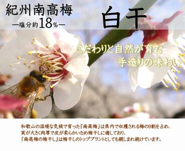 紀州南高梅 白干 500g×2 塩分 約18% A-243