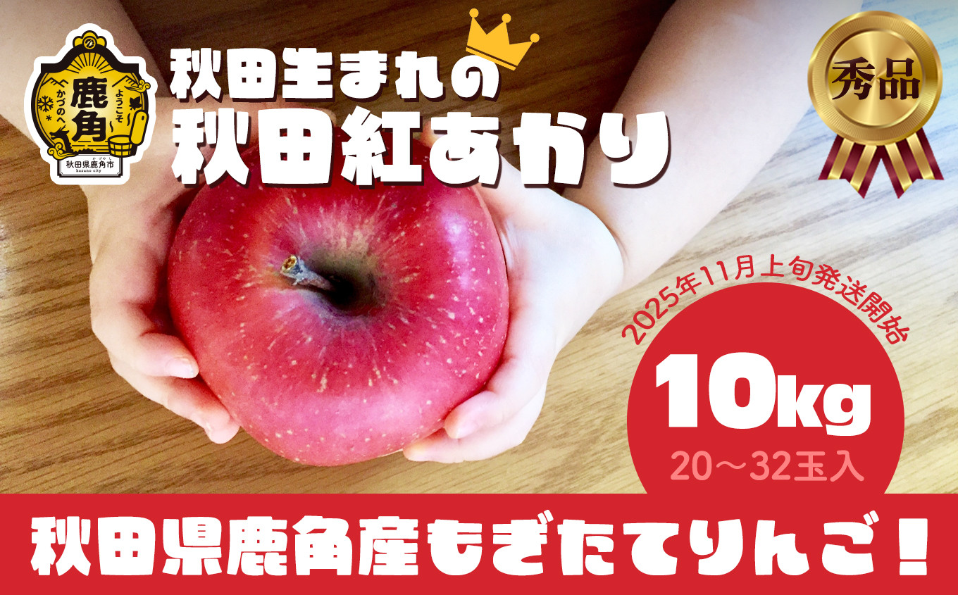 
            《 先行予約 》秋田県鹿角産りんご 秀品「秋田紅あかり」約10kg（20～32玉入）●2025年11月上旬発送開始 【ケーケー農園】かづのりんご 食感 果汁 さっぱり リンゴ 完熟 旬 県産りんご 林檎 お中元 お歳暮 贈り物 お見舞い グルメ ギフト 故郷 秋田 あきた 鹿角市 鹿角 送料無料
          