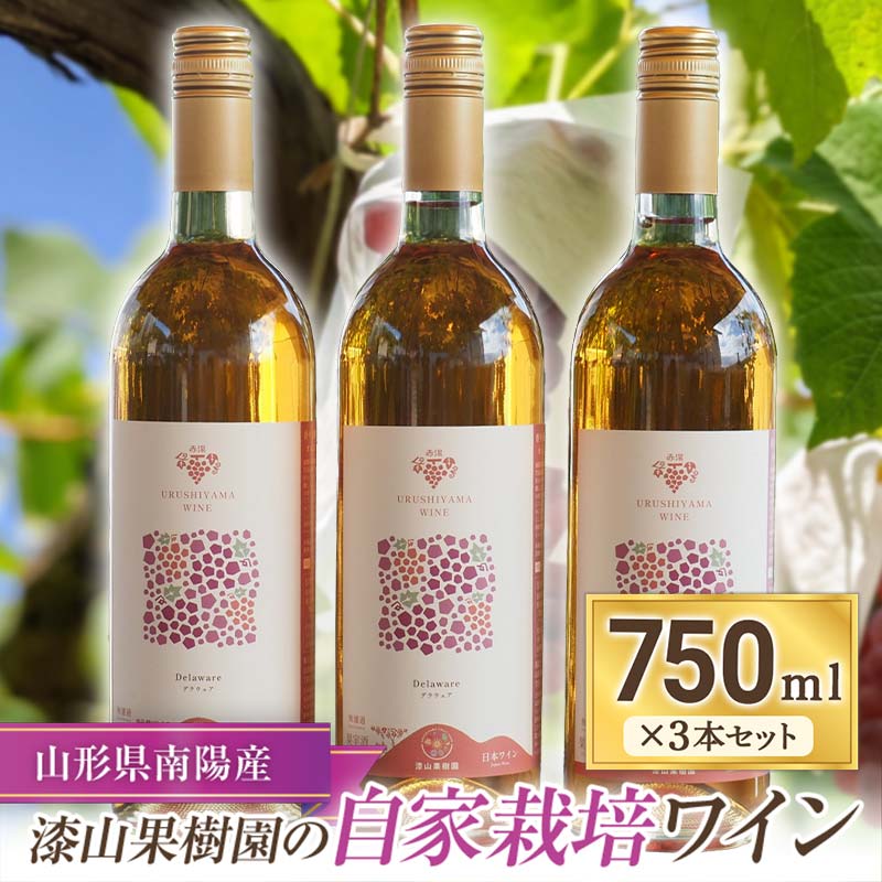【ふるさと納税】 果樹園生まれの 「漆山ワイン (デラウェア)」 750ml×3本セット 『漆山果樹園』 自家栽培 山形県 南陽市 [1168]