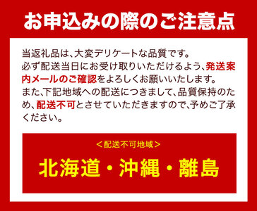 ぶどう [2024年先行予約] シャインマスカット 晴王 2房 1.15kg 岡山県産《9月上旬-11月中旬頃出荷(土日祝除く)》 ハレノフルーツ マスカット 送料無料 岡山県 浅口市 フルーツ 果物