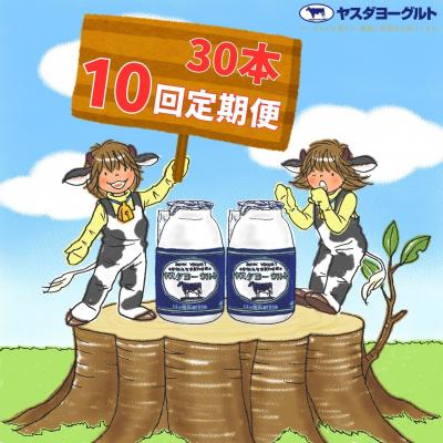 ふるさと納税 阿賀野市 【10ヶ月定期便】ヤスダヨーグルト 　150g×30本