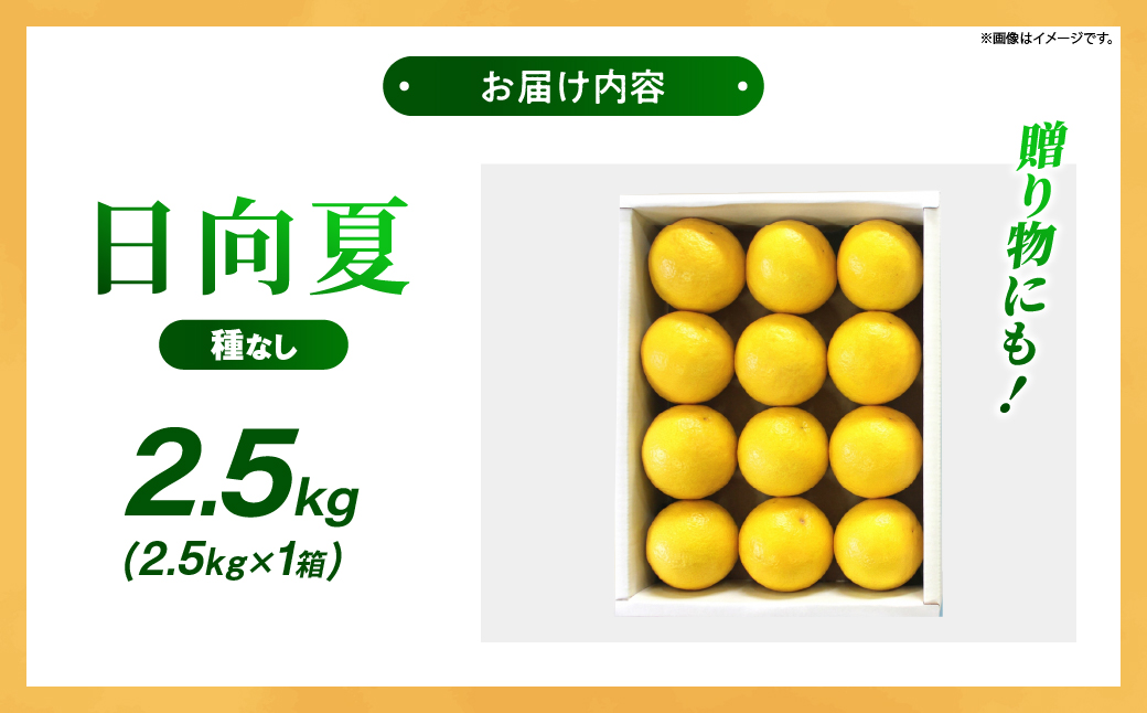 【先行受付】初春の旬「日向夏」種なし 2.5kg 果物 フルーツ くだもの 柑橘 フルーツサンド おやつ スイーツ デザート ジャム おすすめ ギフト 贈り物 贈答 プレゼント おすそ分け お返し 宮崎県 綾町 送料無料【JA綾町】_A0114-2401