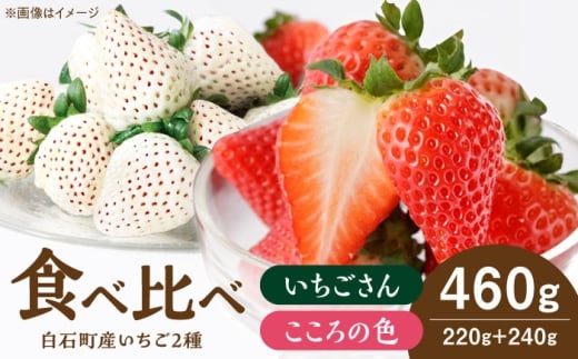 【2026年1月以降発送】こころの色＋いちごさん 1箱 【StrawberryFarm-K】  佐賀県 白石 [IBJ022]