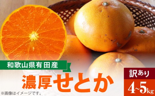 
                  柑橘の王様 和歌山有田の 濃厚せとか【訳あり 家庭用】約4～5kg_AB6303n
                