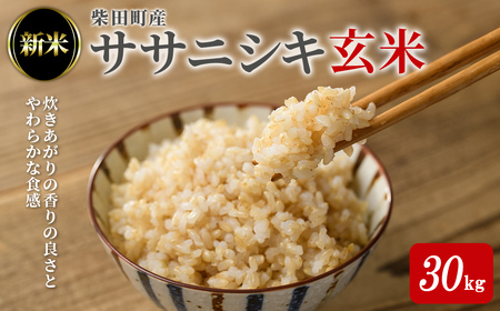 ＜先行予約！2025年10月中旬から順次発送予定＞【令和7年産 新米】ササニシキ 玄米 30kg 柴田町産 お米 おこめ 米 コメ ご飯 ごはん おにぎり お弁当 【農業組合法人葉坂希望の郷】sh106