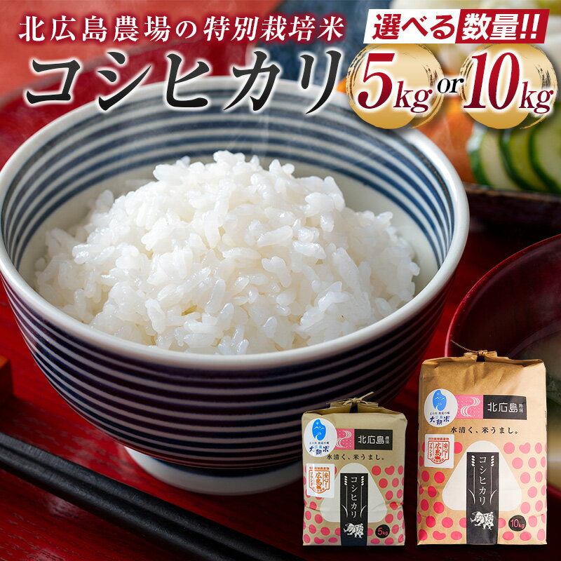 【ふるさと納税】北広島農場 特別栽培米 コシヒカリ 精米 2025年産米 米どころ北広島町のおいしいお米