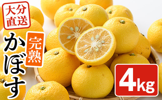 ＜先行予約受付中！2025年11月中旬より順次発送予定＞完熟かぼす(約4kg)かんきつ 柑橘 期間限定 おもとの丘【111300401】【未来農林】