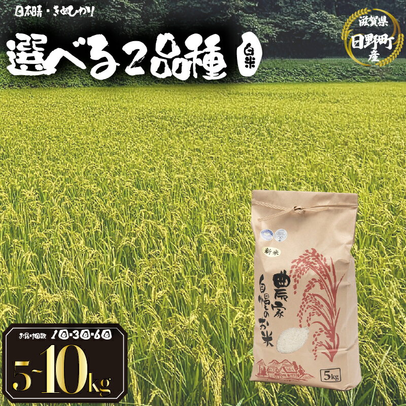 【ふるさと納税】 令和7年産 新米 5kg 選べる 【 品種 容量 お届け回数 】 日本晴 きぬひかり 5kg 10kg 30kg 白米 定期便 3ヶ月 6ヶ月 米 白米 2025年産 国産 滋賀県 日野町 農家直送 お米 精米 おこめ こめ 産地直送 ふるさと納税 スーパーセール お買い物マラソン