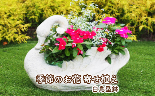 花 寄せ植え 季節のお花 白鳥型鉢 植物 ガーデン インテリア ※配送不可:沖縄、離島