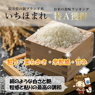 ふるさと納税 あわら市 【毎月定期便】 いちほまれ 精米 5kg全12回 |  | 01
