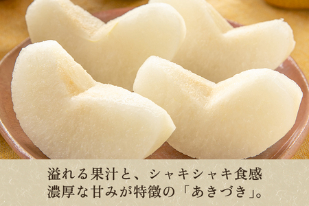 【2026年先行予約】しらい農園の和梨 あきづき 秀品3kg（5～9玉）《9月下旬～順次発送》 果実 フルーツ 贈答 ギフト 甘くてジューシーな梨 なし 秋月 加茂市 しらい農園